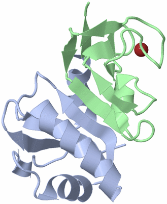 Image Biological Unit 1