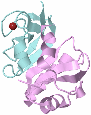 Image Biological Unit 3