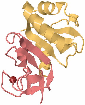 Image Biological Unit 4