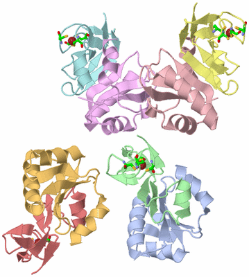 Image Asym. Unit - sites