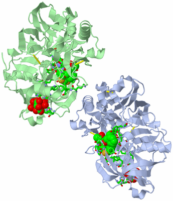 Image Biol. Unit 1 - sites