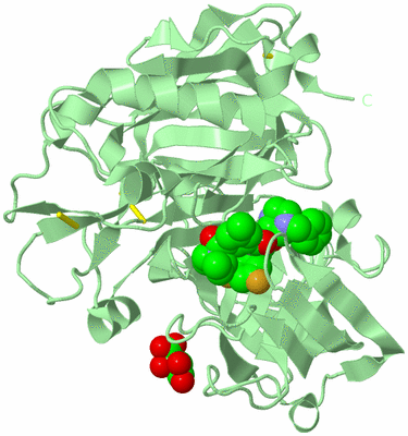 Image Biological Unit 3