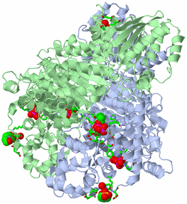 Image Asym./Biol. Unit - sites