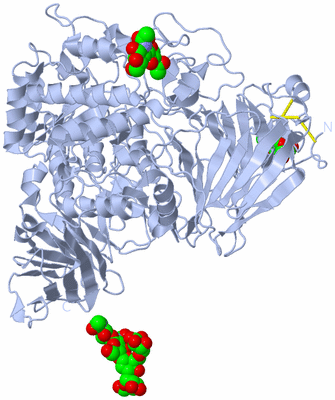 Image Biological Unit 1