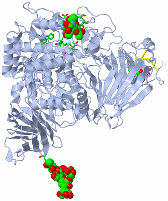 Image Biol. Unit 1 - sites