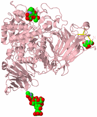 Image Biological Unit 3