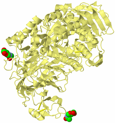 Image Biological Unit 4