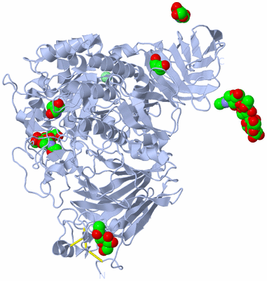 Image Biological Unit 1