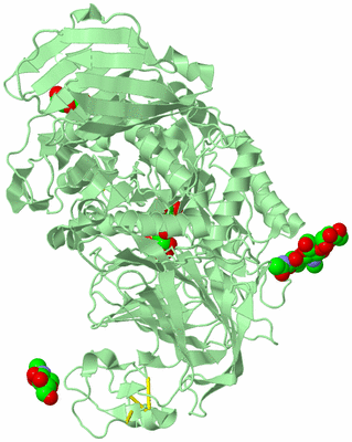 Image Biological Unit 2