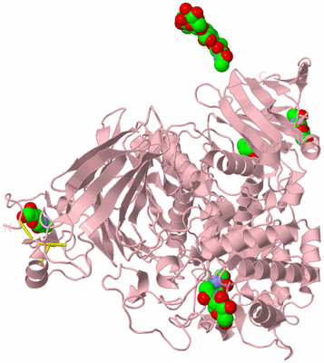 Image Biological Unit 3