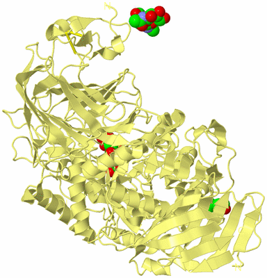 Image Biological Unit 4