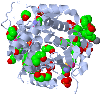 Image Biological Unit 1