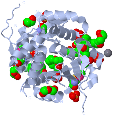 Image Biological Unit 1