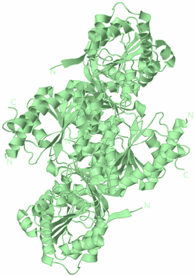 Image Biological Unit 2