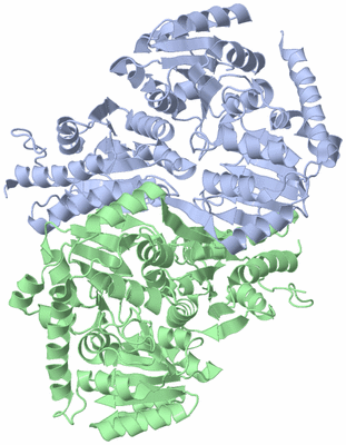 Image Biological Unit 4