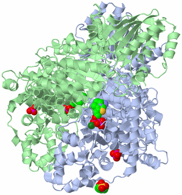 Image Asym./Biol. Unit