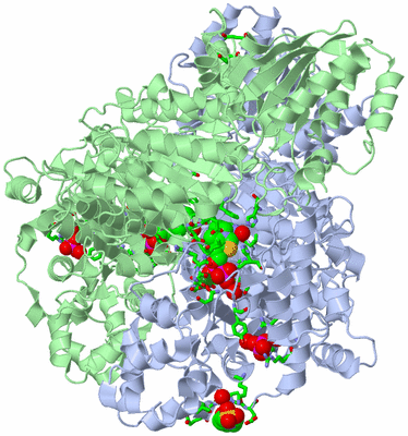 Image Asym./Biol. Unit - sites