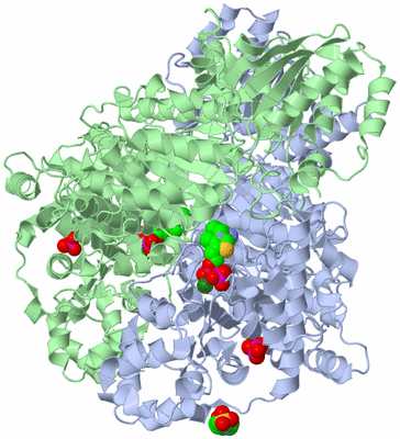 Image Asym./Biol. Unit