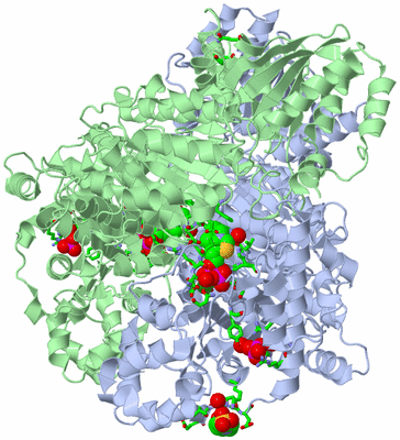 Image Asym./Biol. Unit - sites