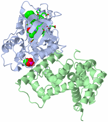 Image Asym./Biol. Unit - sites