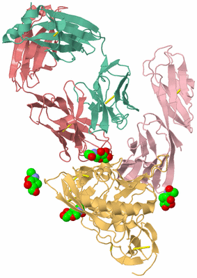 Image Asym./Biol. Unit