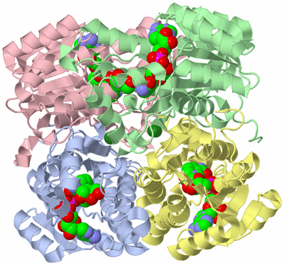 Image Asym./Biol. Unit