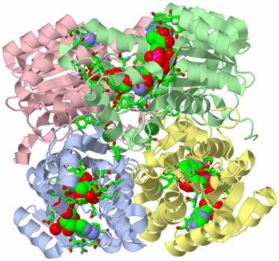 Image Asym./Biol. Unit - sites