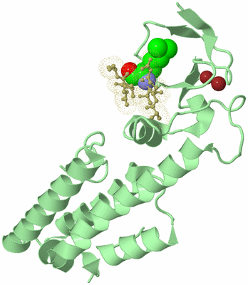 Image Biological Unit 2