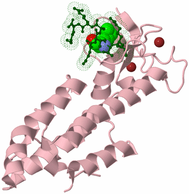 Image Biological Unit 3