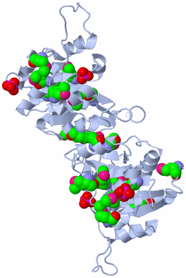 Image Biological Unit 3