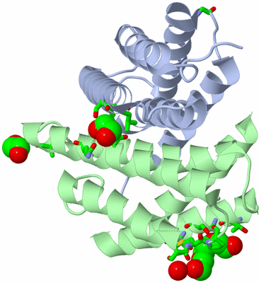 Image Asym./Biol. Unit - sites