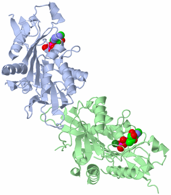 Image Biological Unit 3