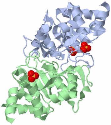 Image Biological Unit 1