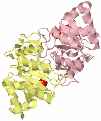 Image Biological Unit 2