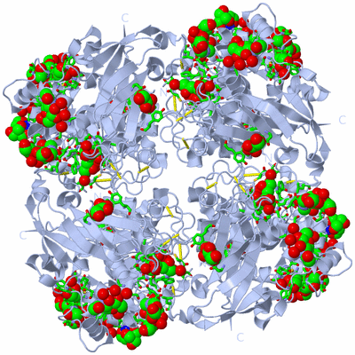 Image Biol. Unit 1 - sites