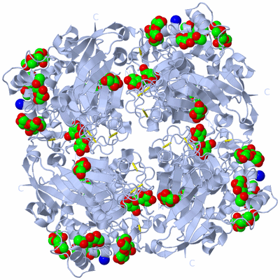 Image Biological Unit 1