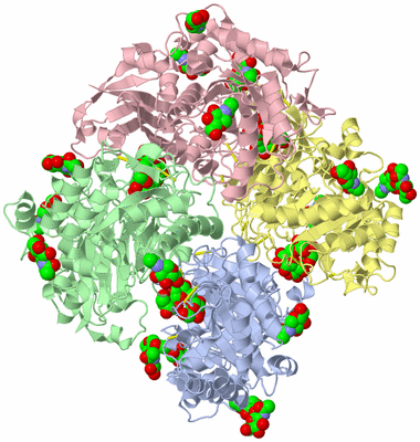 Image Asym./Biol. Unit