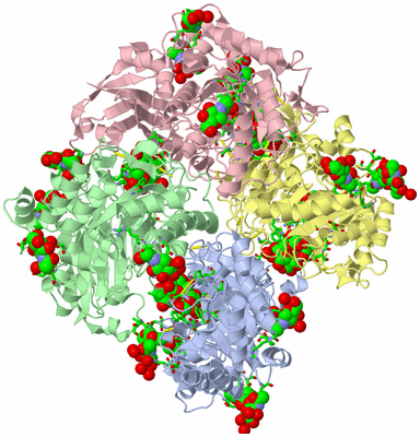 Image Asym./Biol. Unit - sites