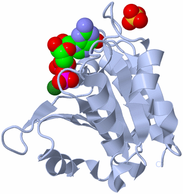 Image Biological Unit 1