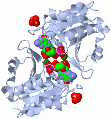 Image Biological Unit 2