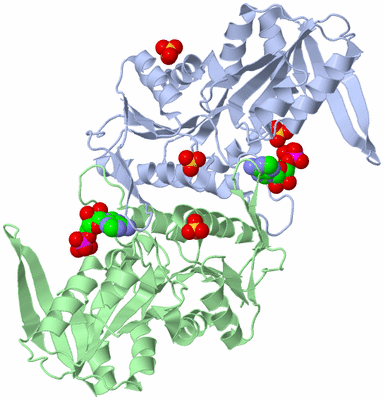 Image Asym./Biol. Unit