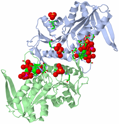 Image Asym./Biol. Unit - sites