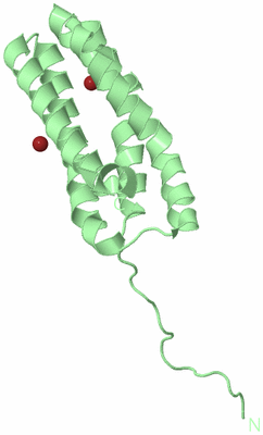 Image Biological Unit 2