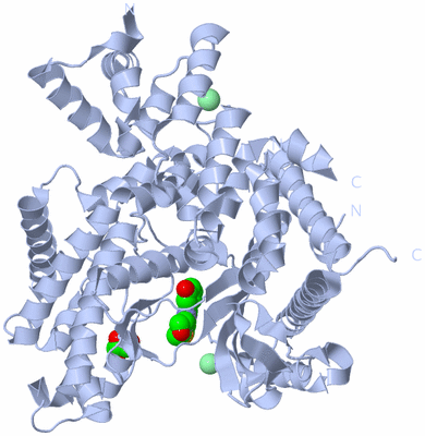 Image Biological Unit 1