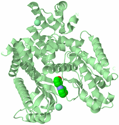 Image Biological Unit 2