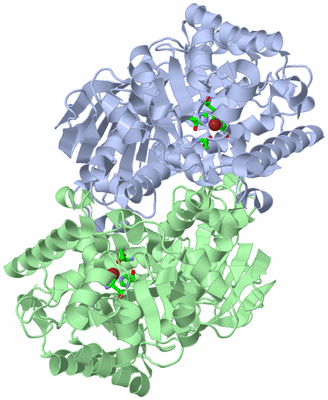 Image Asym./Biol. Unit - sites