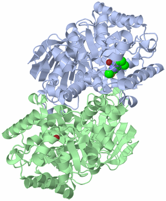 Image Asym./Biol. Unit