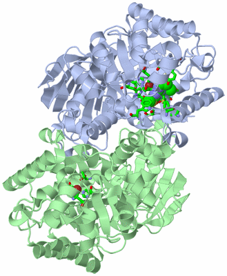 Image Asym./Biol. Unit - sites