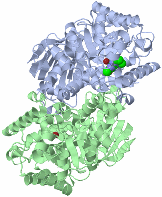 Image Asym./Biol. Unit