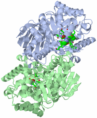 Image Asym./Biol. Unit - sites